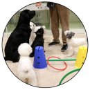 하울팟 부산케어센터 이미지