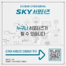 스카이300