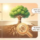 영통이편한치과의원 | 영통치과, 과잉진료 안당하게 엑스레이 보는법