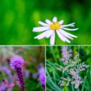 이준지압원 | 풍경후기(風景後記) : 실개천이 흐르는 장충단공원