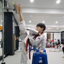 용인대 청목 mta 태권도 이미지