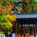 재약산숲찻집 | 밀양 지명 유래 탐구, 전통의 맛 재조명, 가을여행 추천