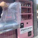 마시카롱 하양점 | 하양 마카롱 추천/경산 마카롱 추천/뚱카롱/마시카롱/하양 마카롱 맛집/경산 마카롱 맛집