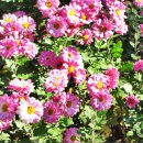 수성구민운동장 이미지