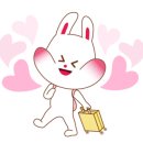 카누여행사