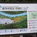 용하공원 화장실 네이버블로그