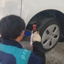 프로미자주카 이미지