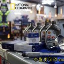 거제밧데리 이미지