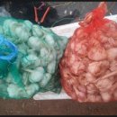 보성향토시장 이미지