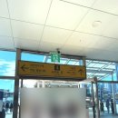 대전역지하차도 | 성심당 본점 도보로 가는법 (오후 웨이팅, 임산부 할인, 빵추천)