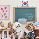 4계절 바뀌는 포토존 일산애견동반카페 초코앤멜로우