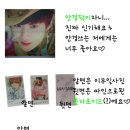 영끌림 Daum카페