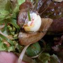 태창농장 이미지