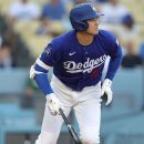 타이시즌 이미지