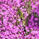 내리공중화장실 이미지