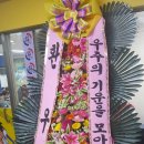 효동태권도 이미지