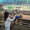 준구농장 네이버블로그