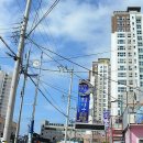 완도회타운 이미지