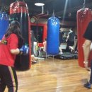 쭌 복싱클럽 이미지