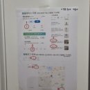 힐메디칼 | 광주 금호동 필라테스 추천 ㅣ 캐딜락 사용 가능한 빠라필라테스 솔직후기!