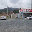 엠알렌트카 이미지