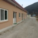 태림펜션민박 이미지