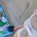 욜로펫 | Summer Vacation…⛱️