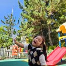 큰동그라미유치원 이미지