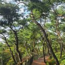 순환로 405번길 이미지