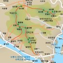 행복한 산책 이미지