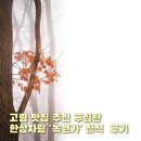 GR(고령군)-[대가야로]-상-10 | 고령 맛집 추천 푸짐한 한상차림 '녹원가' 정식 후기