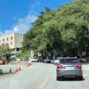 오가낭뜰근린공원4동 | 8월 계룡산 등산