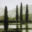 미루나무풍경 이미지