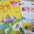 나비 한살이 이미지