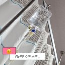 바아필라테스 | 18주차 임산부 코감기 약처방 수액 후기 / 도움됐던 감기 차 추천