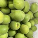 청매실 | 청매실 5kg 주문 후기, 빛그린 청매실로 매실청 담그기