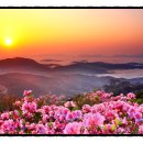 이사야주