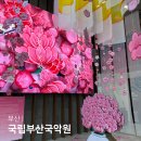 국립부산국악원 | 부산 전시회 국립부산국악원 나난 작가 전시 풍류의 정원