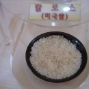 칼로스(미국),고시히카리(일본) (쌀이야기방) 이미지