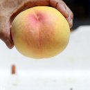 명성농장 이미지