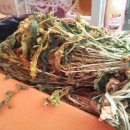 (주)소셜원 이미지