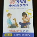 장보는강양이