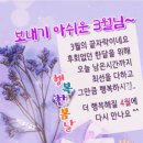 흰 코끼리 이미지