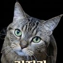 선거관리위원회 | 선거관리위원회 사무보조 면접 후기 정리해봄 (질문 + 분위기)