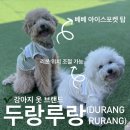 [두랑두랑] 강아지 옷 브랜드 ‘베베아이스포켓‘ 여름 옷 추천 내돈내산 💚💛 DURANGRURANG
