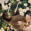 녹번역4, 5번출구 이미지