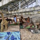 우석헌자연사박물관 이미지