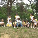 보림유치원 Daum카페