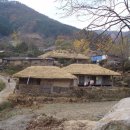 편백나무숲민박 이미지