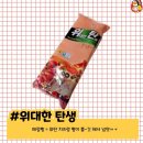 수원-0182 이미지